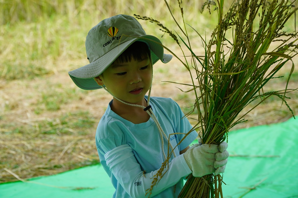 [연대]경상남도3학년초등학교환경체험학습_밀양청도초등학교(9/23)