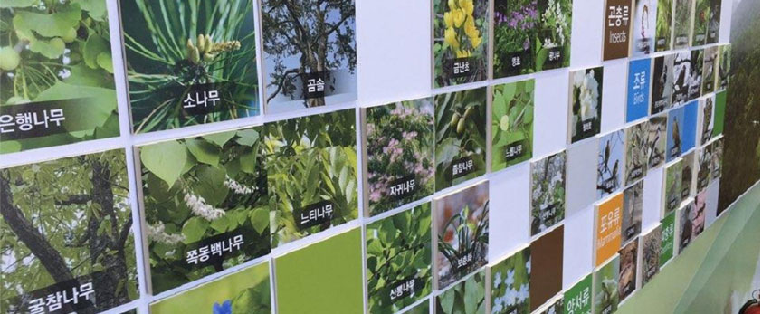 분성산의 생태숲의 친구들