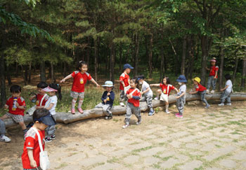 유아숲체험반3
