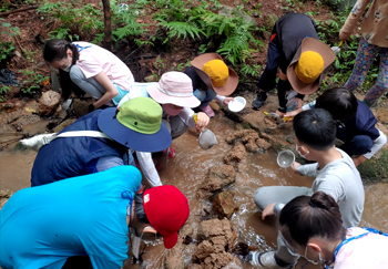 특별 프로그램2