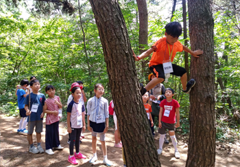 특별 프로그램3