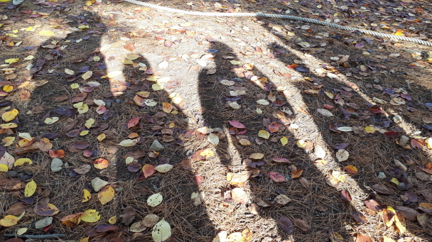 가을 금병공원에서