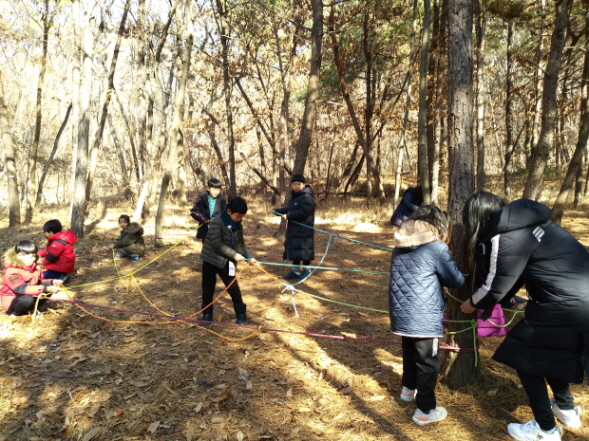 겨울숲놀이 