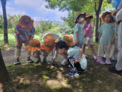 매미 땅속세상 옆보기