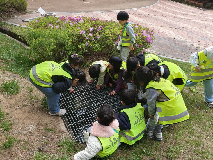 무당개구리관찰