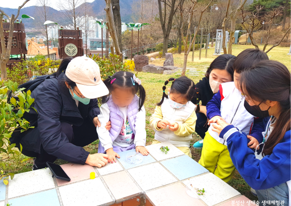 엄마랑 하는 숲놀이