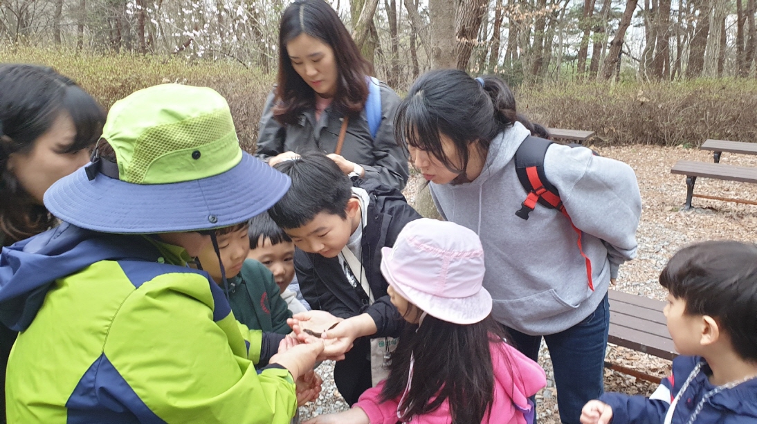 개구리 도룡뇽 올챙이관찰