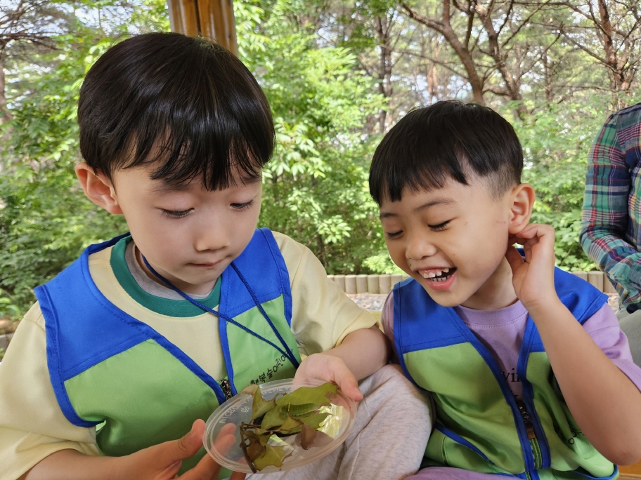 애벌레관찰하기