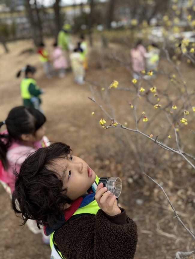 봄의전령사 히어리