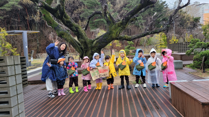 250년 팽나무어르신과의조우