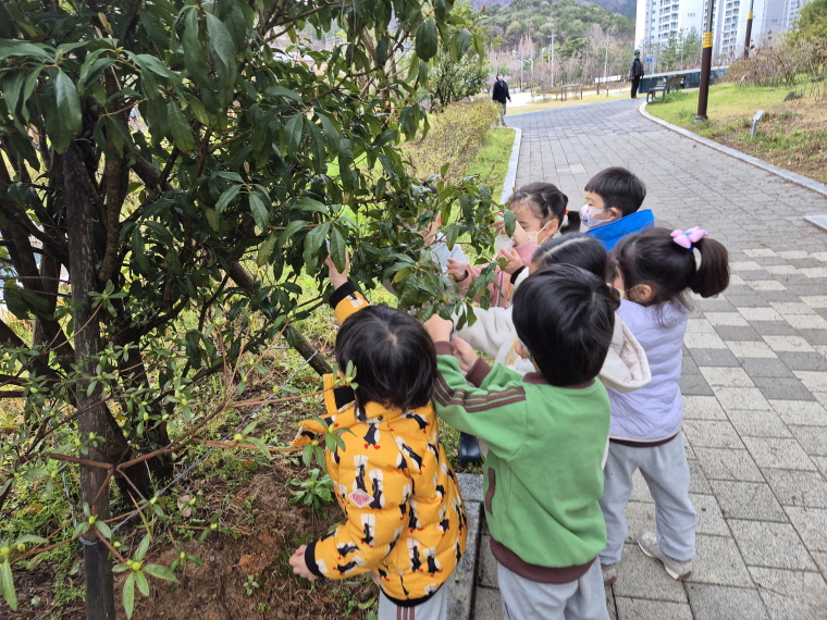 나뭇잎에 내린 봄비