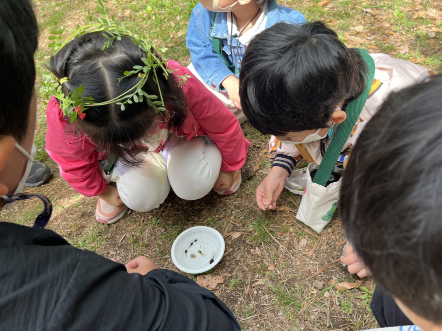 반가워 올챙이야