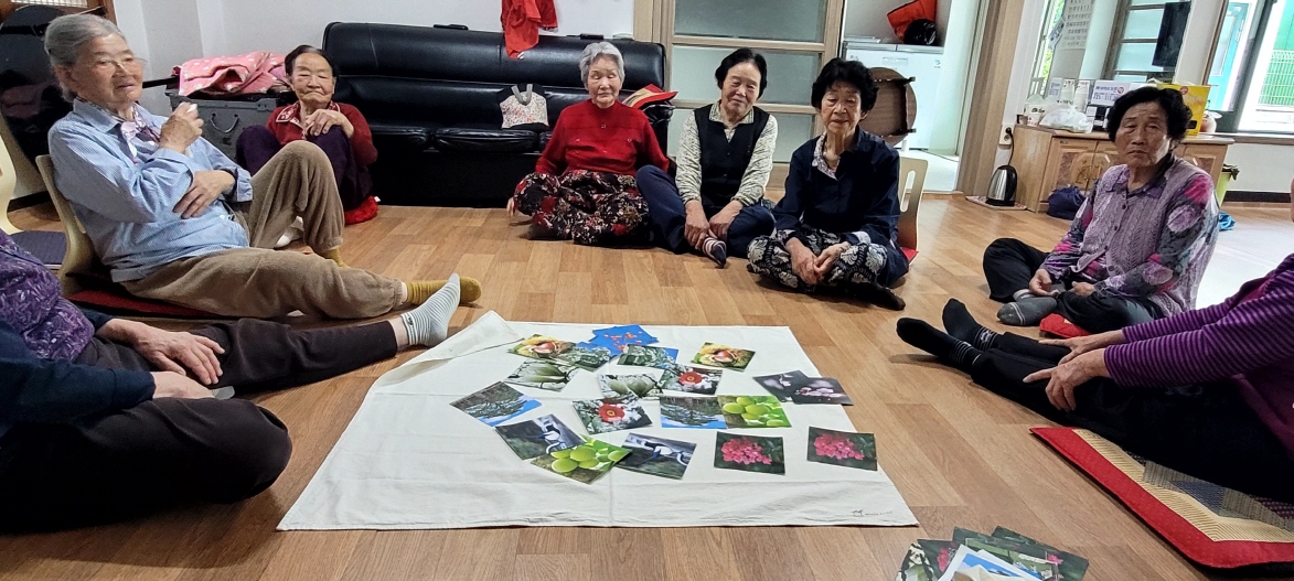 항노화 카드놀이