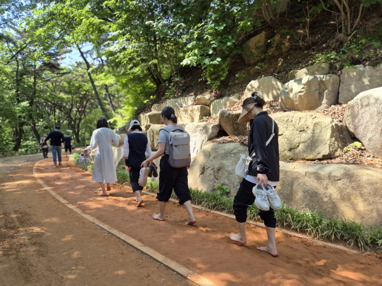 황토의 생명력 받아 들이기