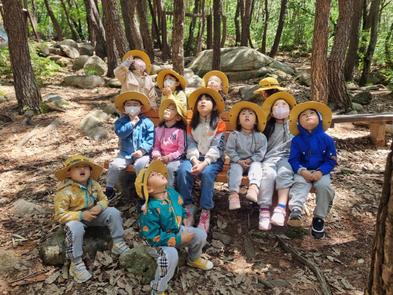 나무사이  햇살보기