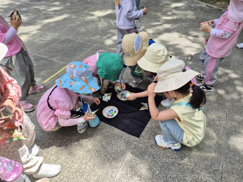 아기새 먹이주기