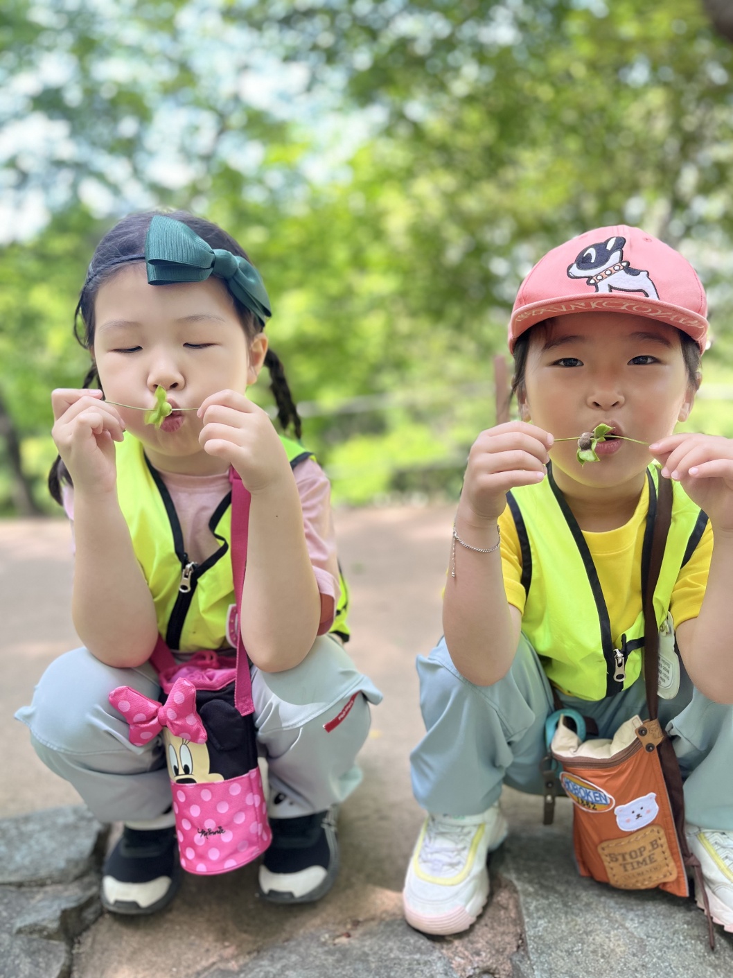 감꼭지바람개비