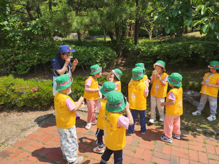 곤충의 눈으로 보기