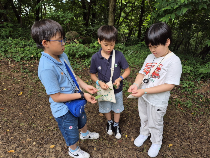 나뭇잎 비교해보기