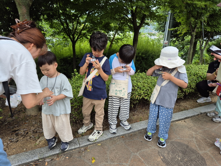나뭇잎, 꽃 루페로 보기