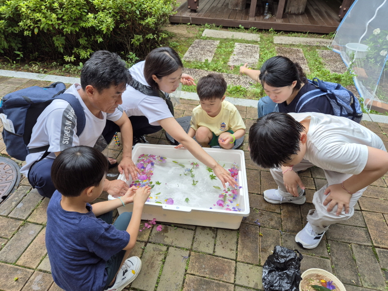 꽃과 잎을 모았어요