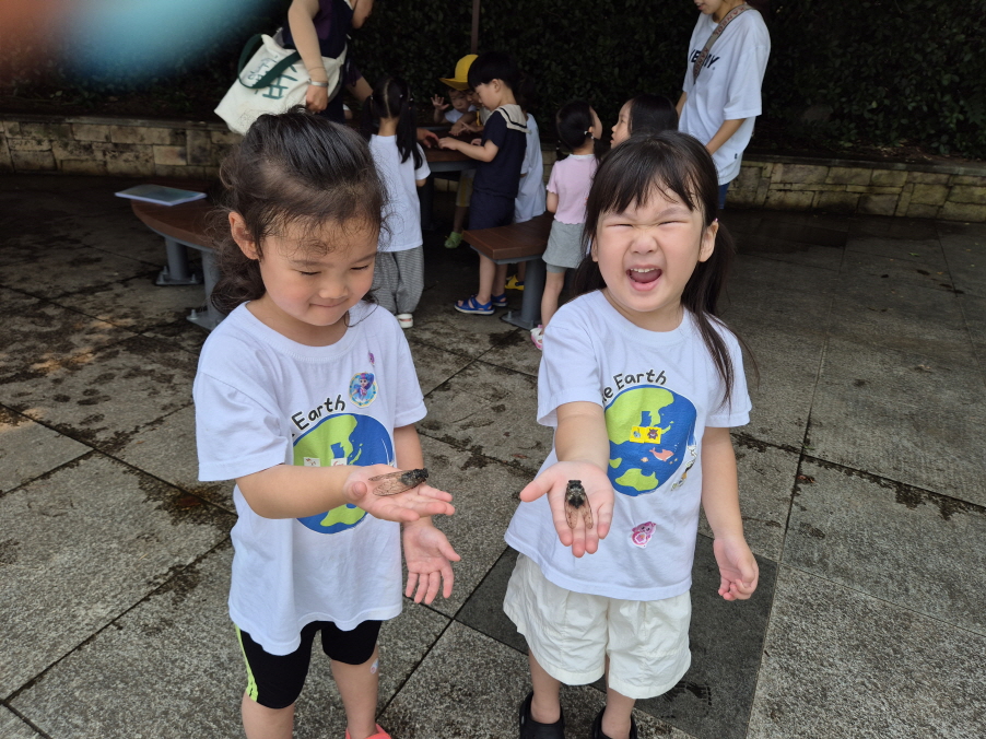 참매미 손에 올려보기