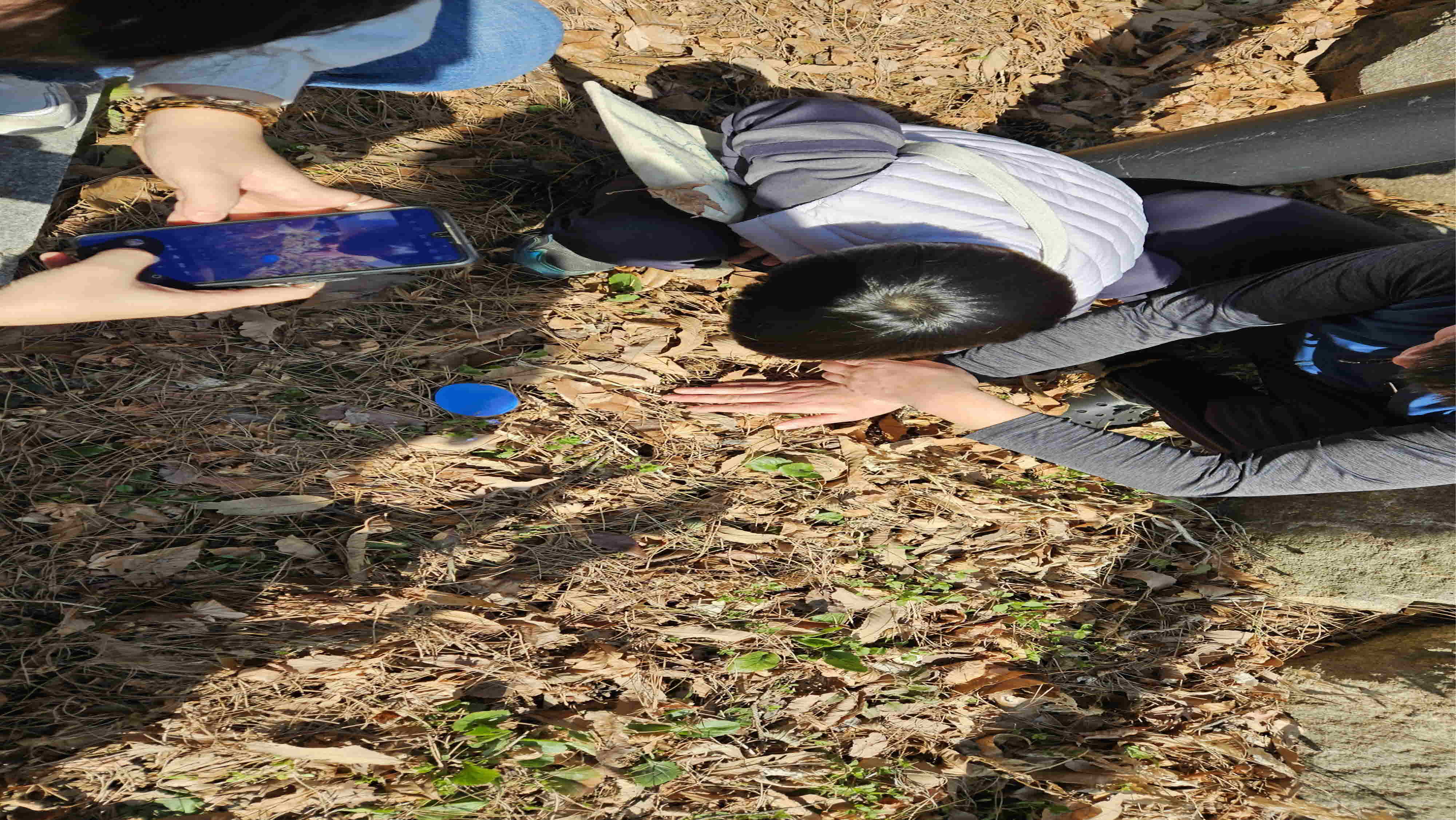 색카드로 꽃을 찾아보자