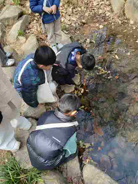 도토리는 누가 먹을까요?