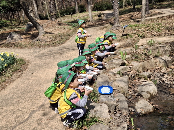 올챙이, 도룡뇽 알 관찰