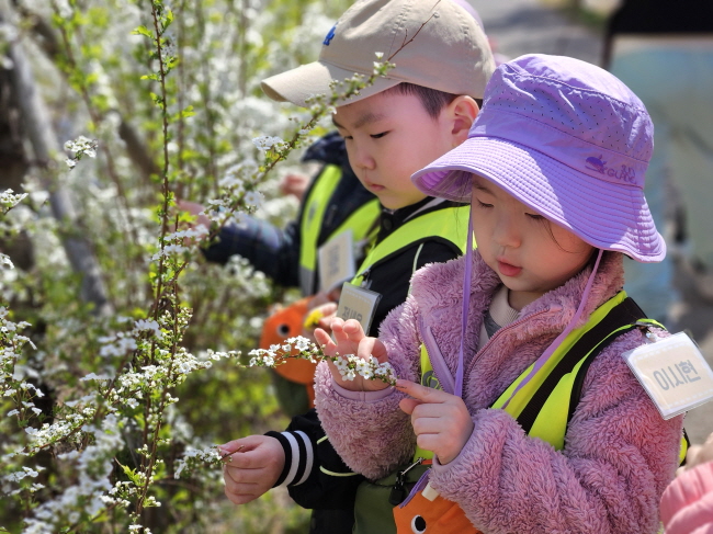 예쁜 꽃을 관찰해요~