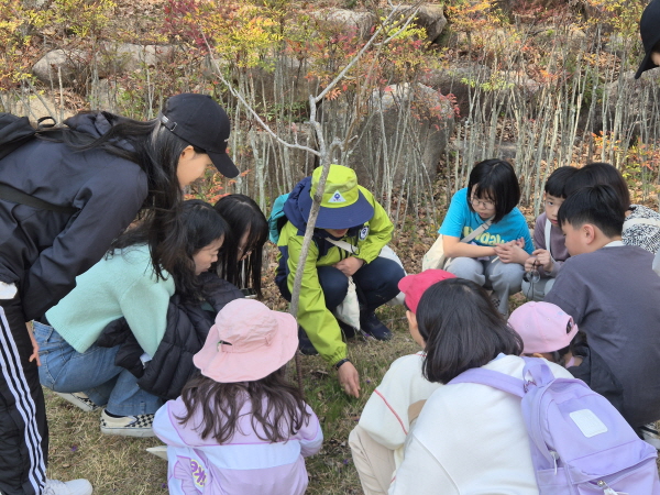 다양한 풀꽃과 개미 곤충관찰
