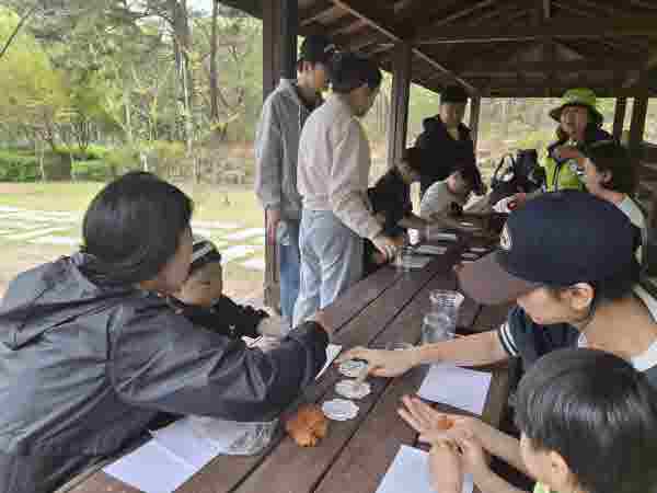 씨앗볼 만들어요 집에서 키워요