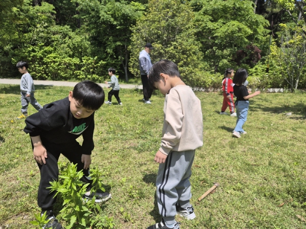 곤충들아~ 어디있니1