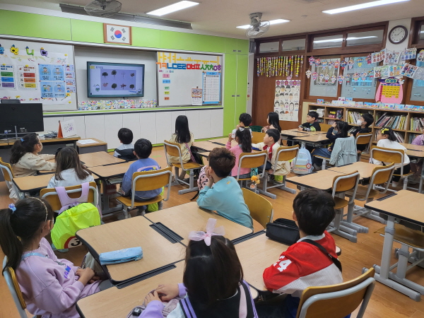 나무의 사계절 변화에 대해 알아보아요