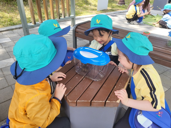 개구리를 관찰해요