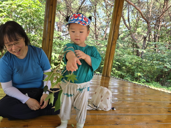 엄마랑 나뭇잎 가랜드를 만들었어요