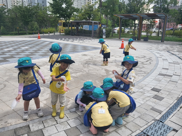 매미 물총놀이는 재미있어요