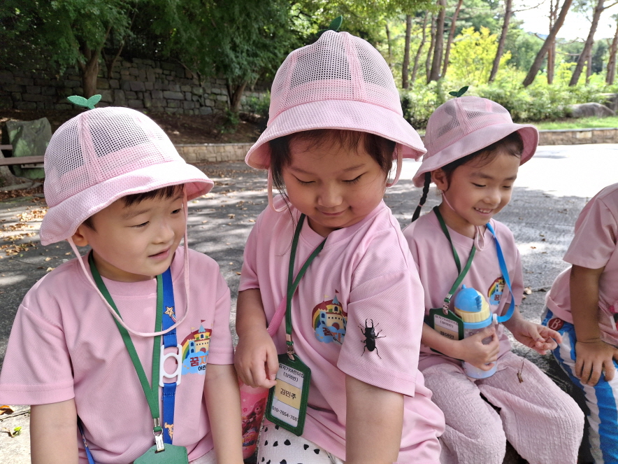 사슴벌레를 발견