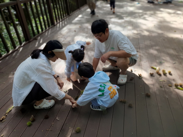 가족팀 밤송이나르기