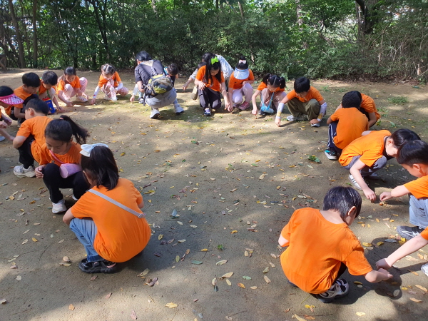 도토리팽이생태놀이