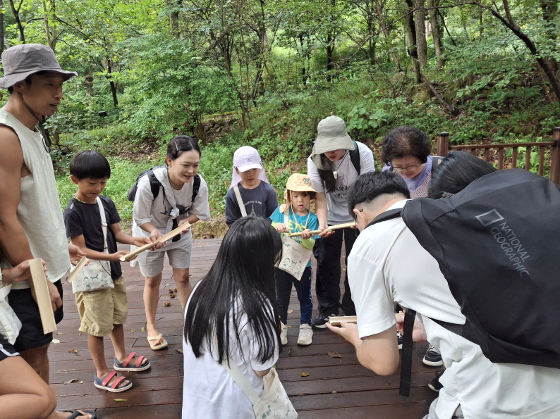 도토리를 굴려라