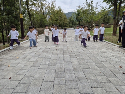 칠엽수 열매가 데루르르.