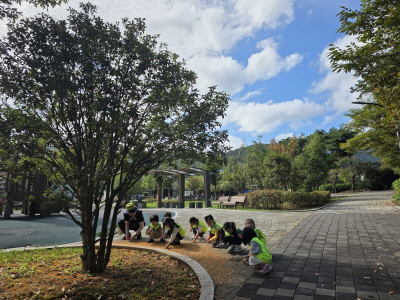 금목서 꽃이 떨어졌어요.