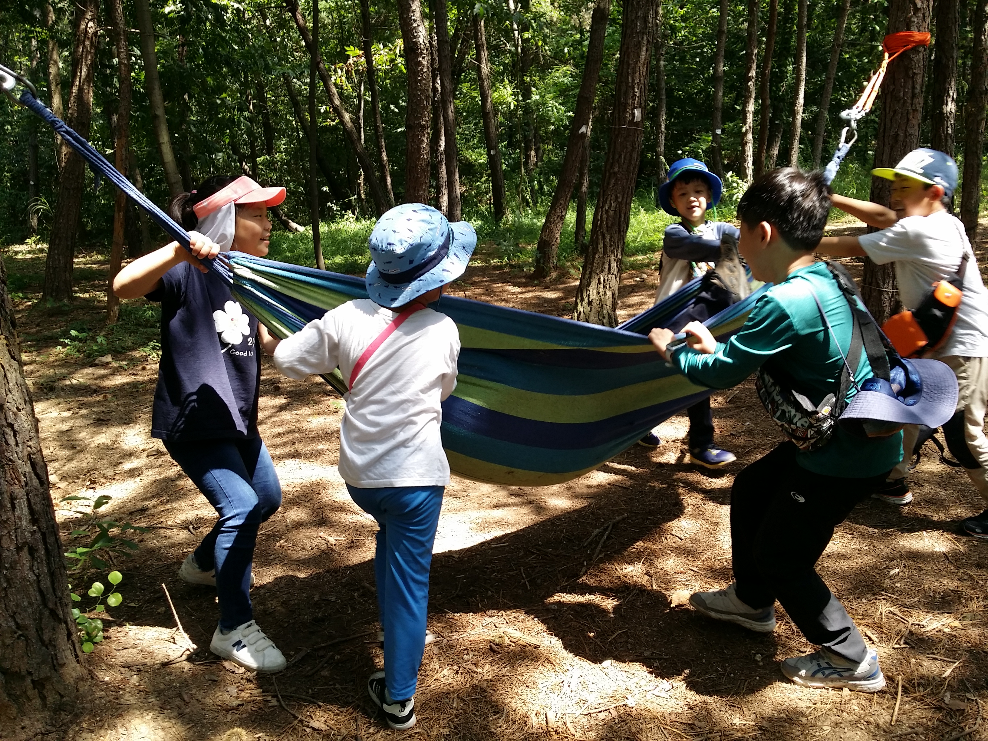 해먹놀이, 바이킹 보다 신난다