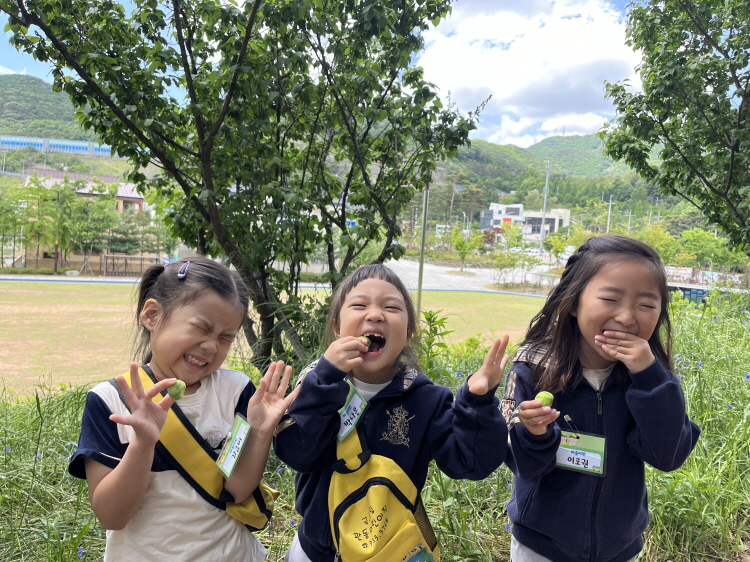 아이셔~~매실이 셔~~요