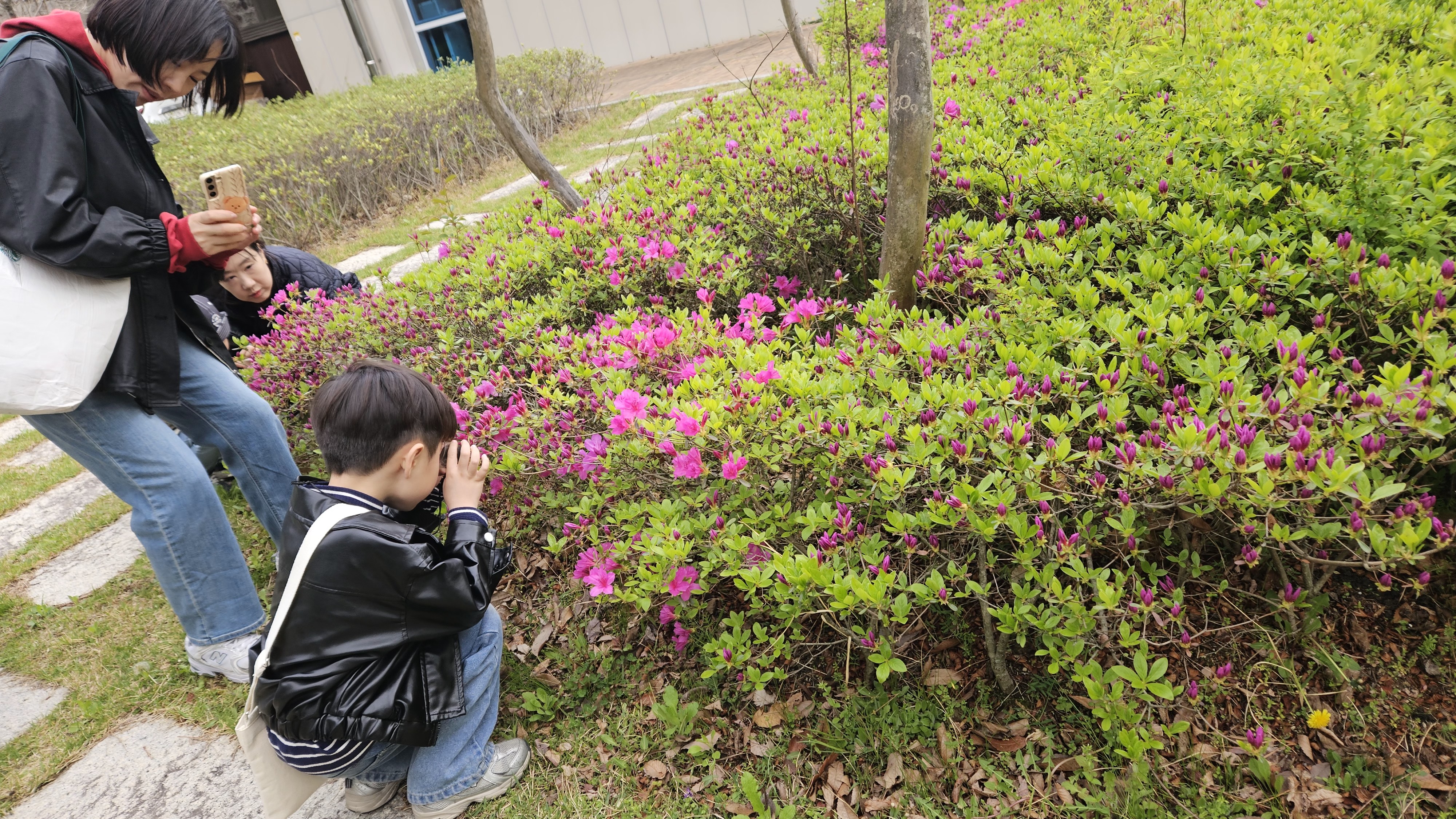 엄마랑함께 꽃의 구조 관찰