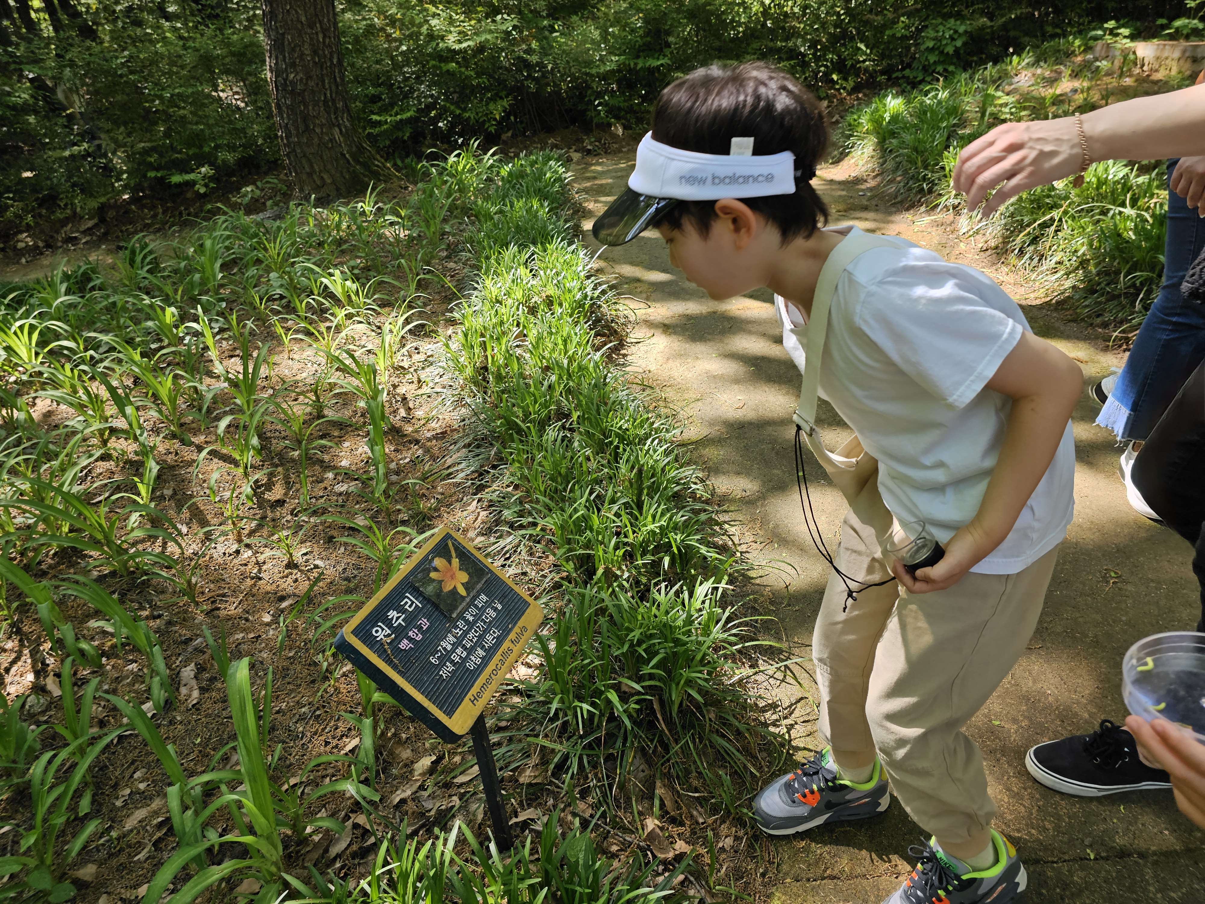 숲에 숨어있는 친구를 찾아