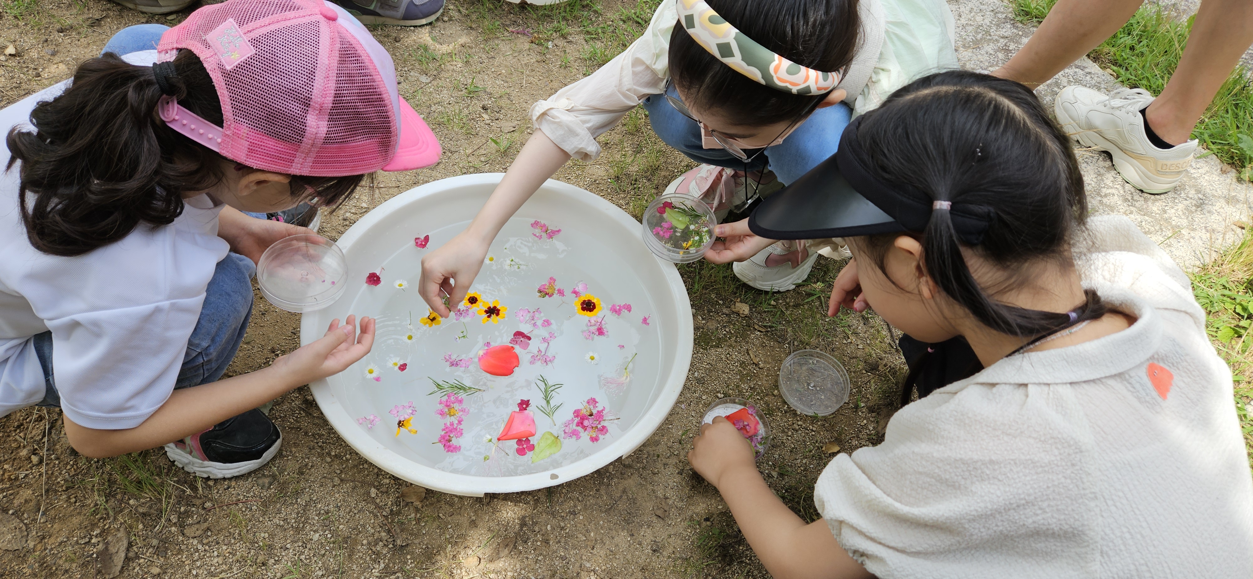 자연물관찰후 물에 띄워보기
