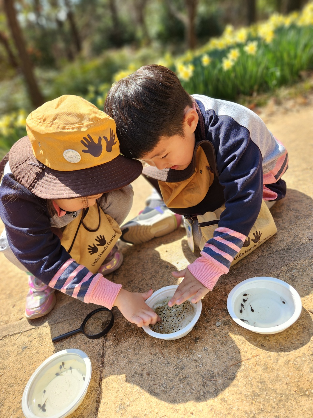 올챙이가 헤어쳐요