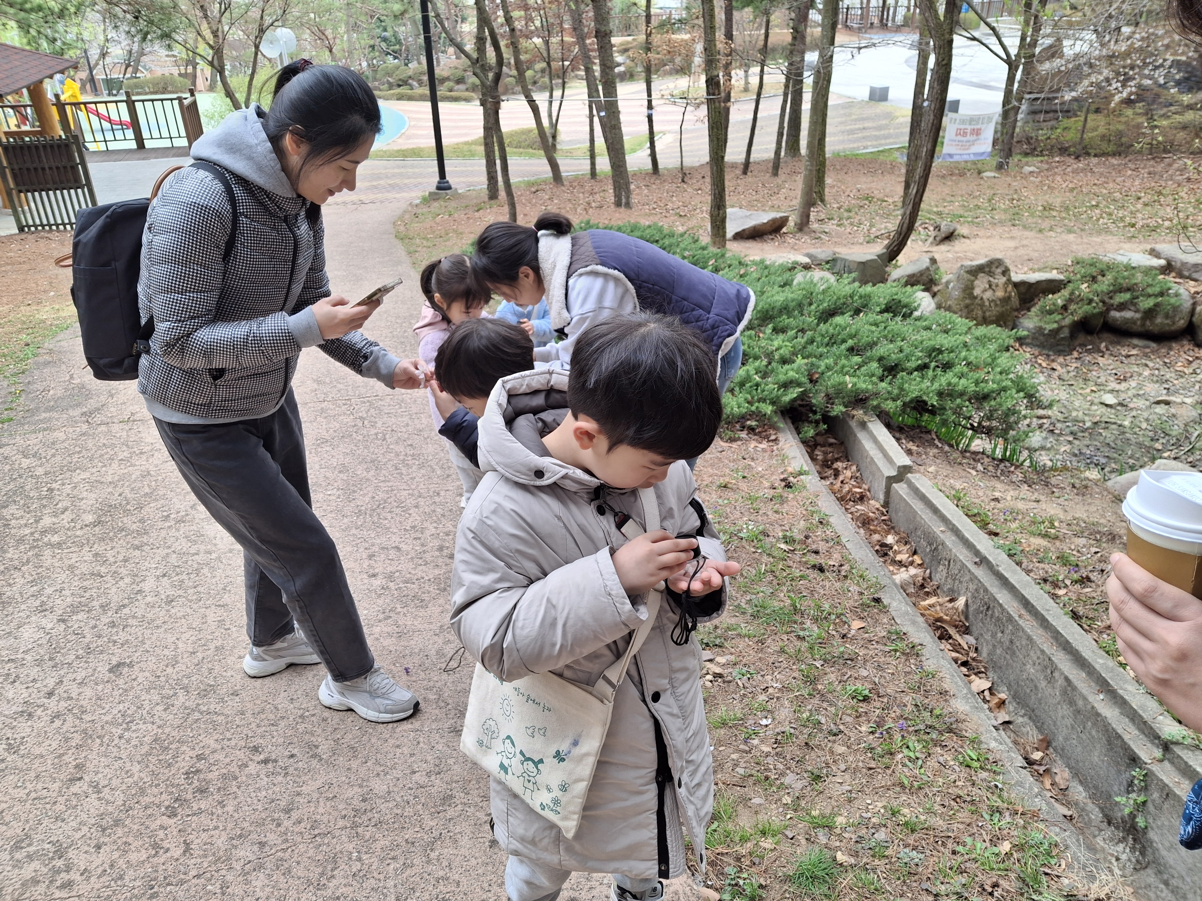 꽃의 암술, 수술 관찰하기